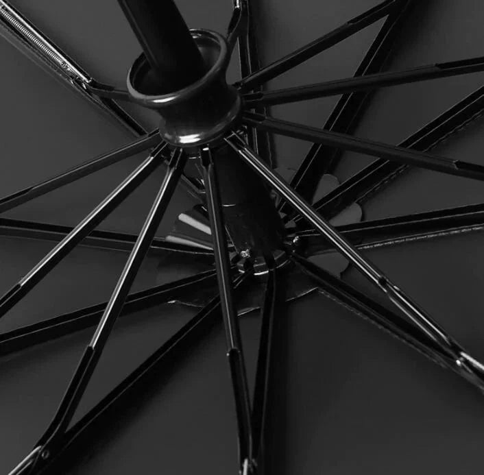Auto-Open Umbrella
