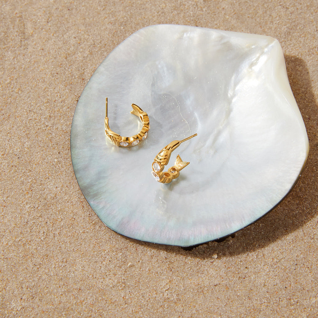 Zircon Fish C Hoop Earrings in Polished Stainless Steel