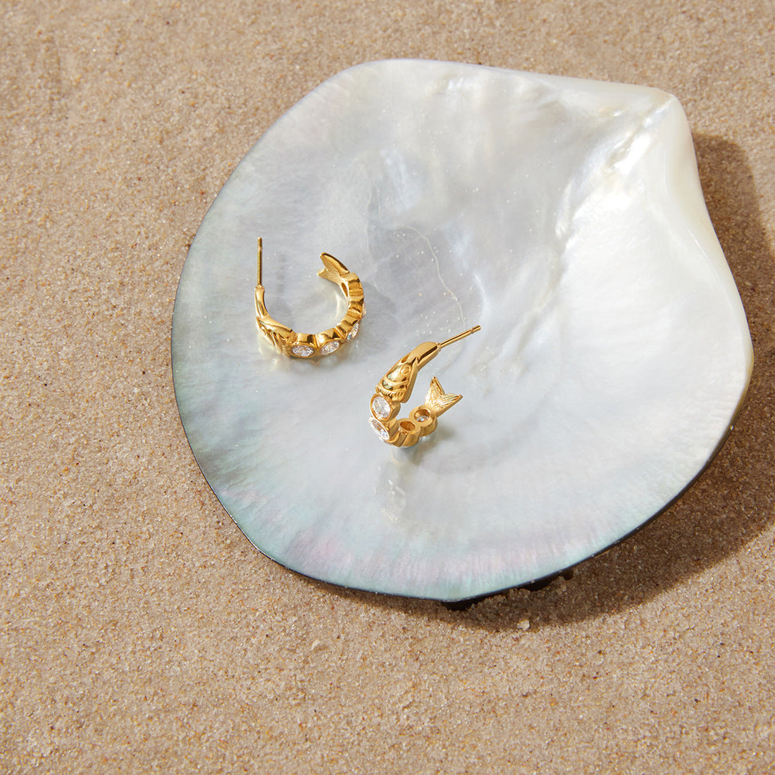 Zircon Fish C Hoop Earrings in Polished Stainless Steel
