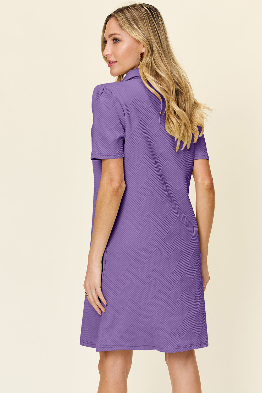 Collared Neck Short Sleeve Textured Mini Dress for Women