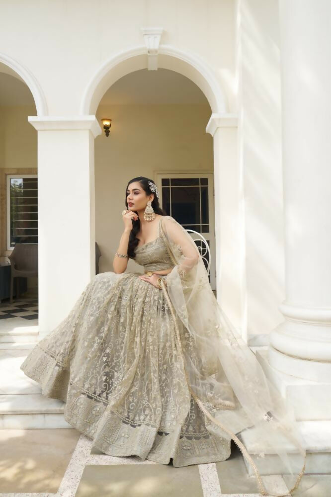 Ivory Butterfly Net Lehenga Choli with Tone-to-Tone Embroidery