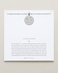 Capricorn — Zodiac Necklace