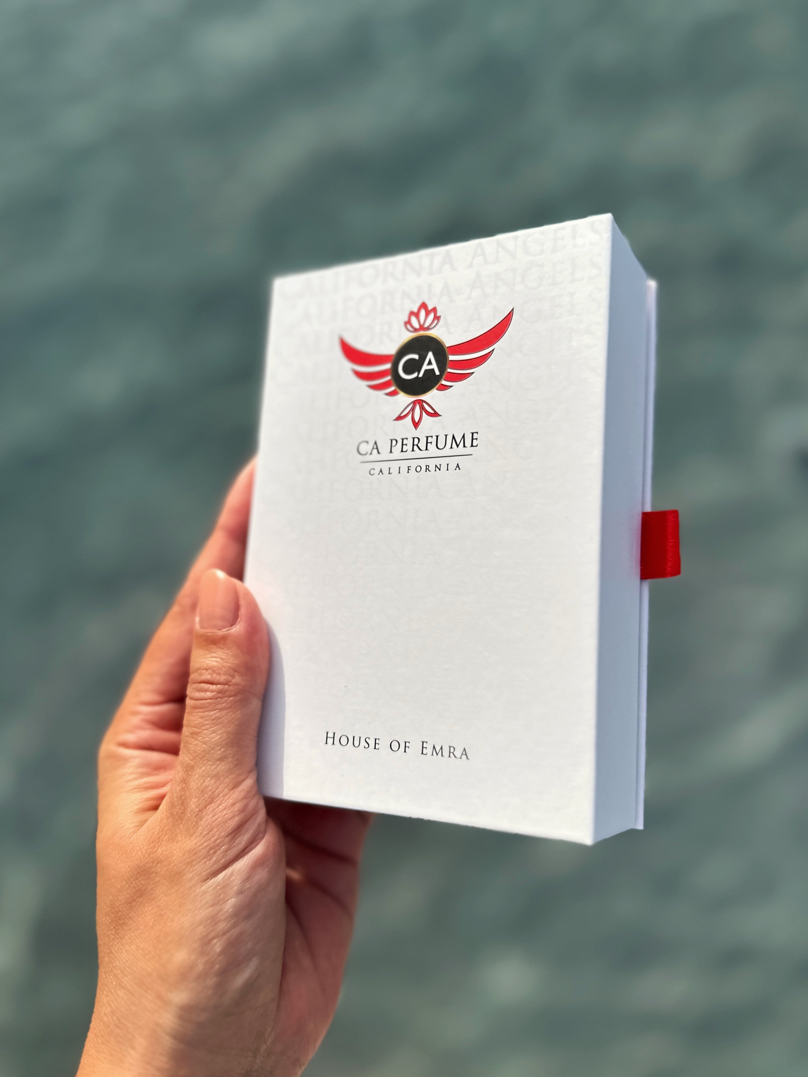 024- Baddie Boys Duo Set  Fragrance Oil and Perfume Spray Bundle