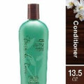 Bain de Terre Green Meadow Balancing Conditioner 13.5 fl oz bottle for normal to oily hair