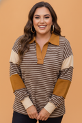 Plus Size Stripe Colorblock V-Neck Long Sleeve Top
