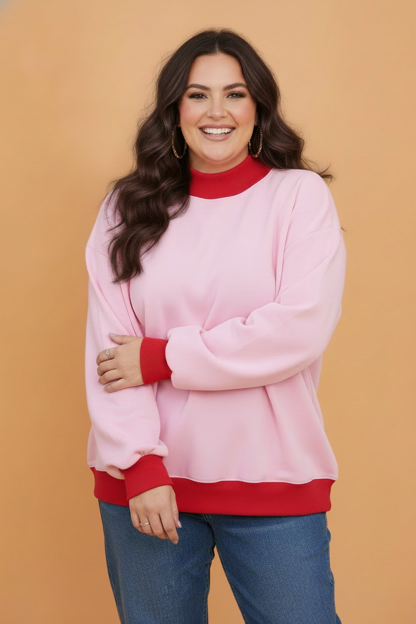 Plus Size Colorblock Contrast Trim Long Sleeve Sweatshirt