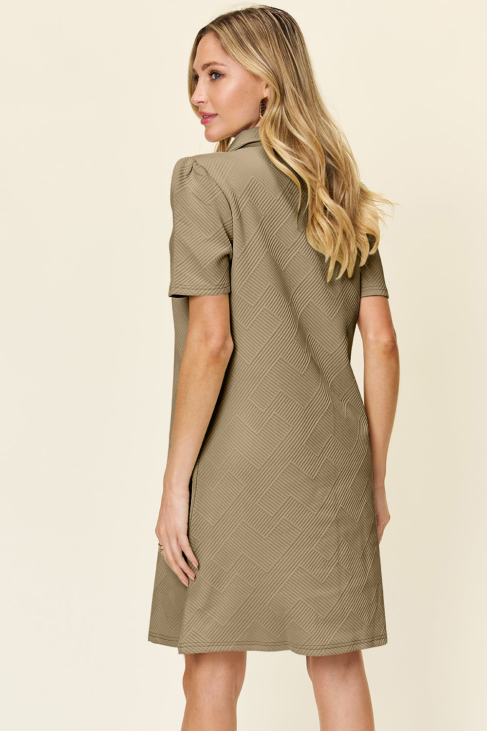 Collared Neck Short Sleeve Textured Mini Dress for Women