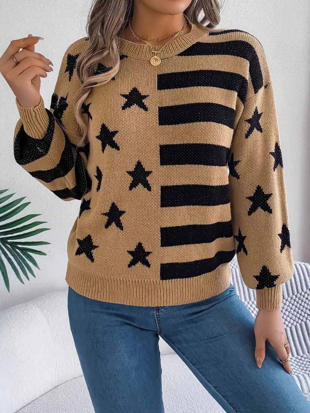 Stars and Stripes Pattern Casual Round Neck Sweater