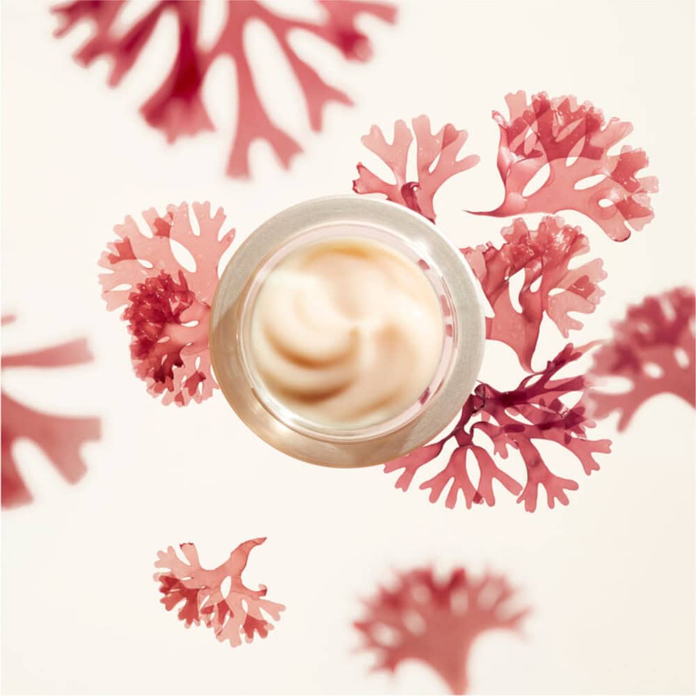 Benefiance Wrinkle Smoothing Cream Daily Anti-Aging Moisturizer