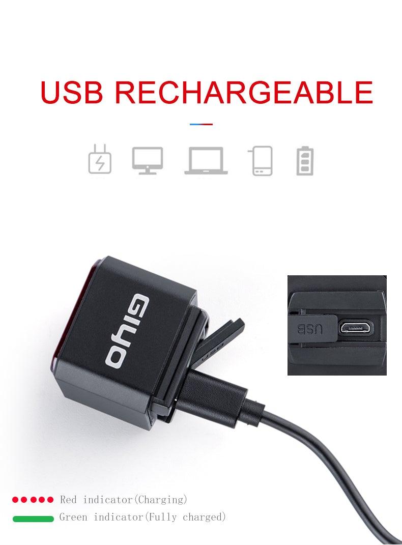 Minimalist USB Rechargeable LED Bike Tail Light with Brake Sensor