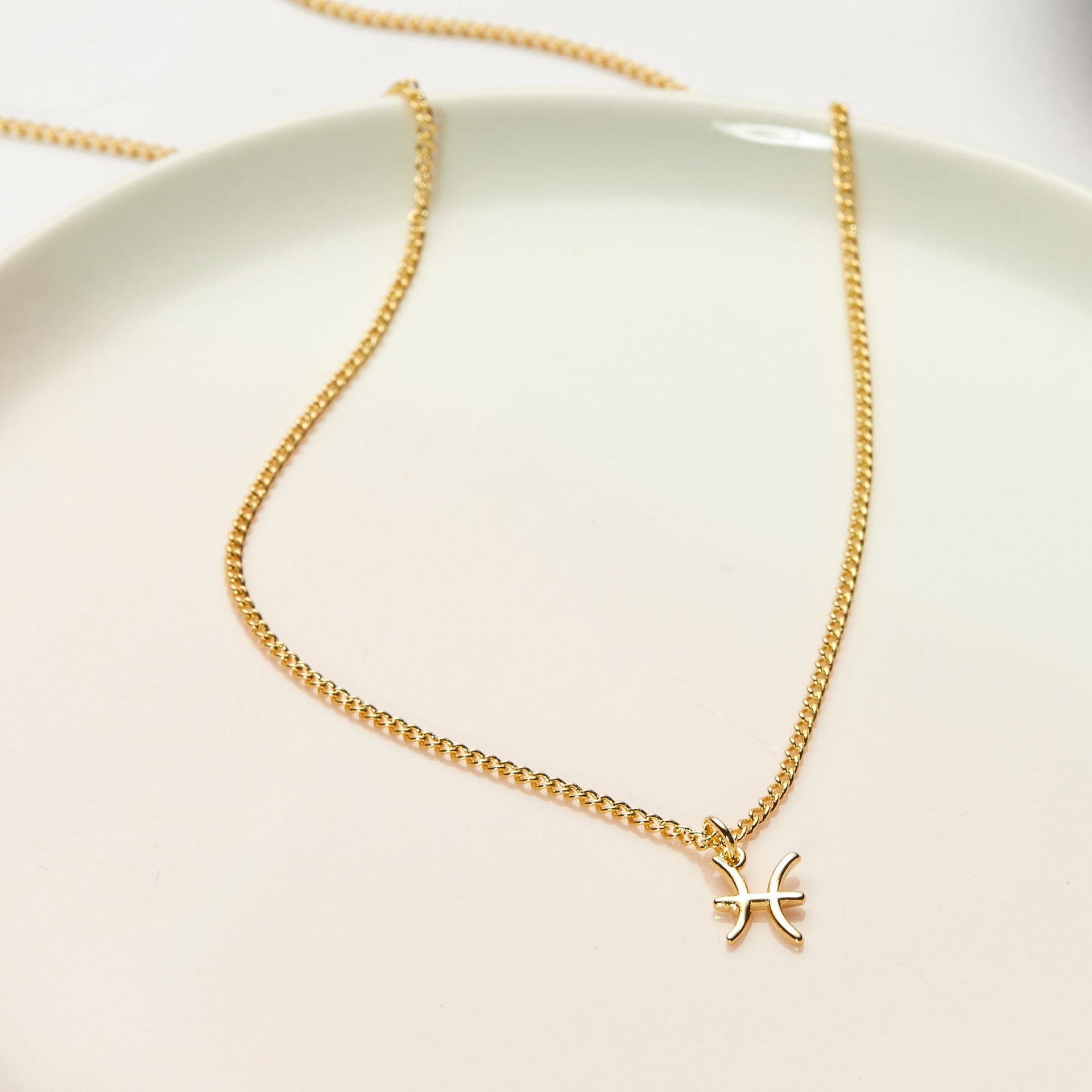 Big Pisces Energy Zodiac Necklace