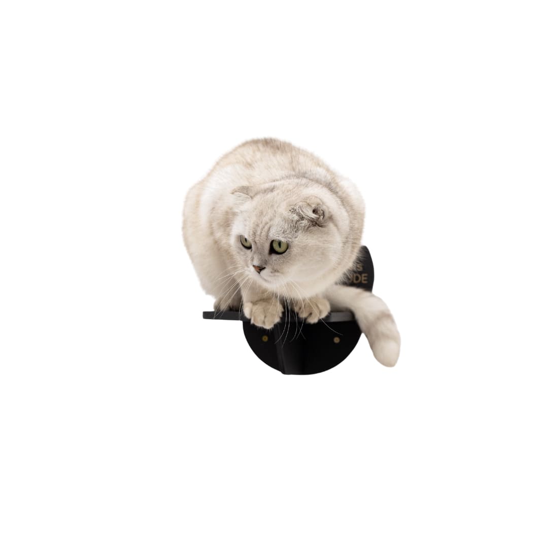 Minimalist Wooden Cat Wall Step - Durable Black Climbing Shelf