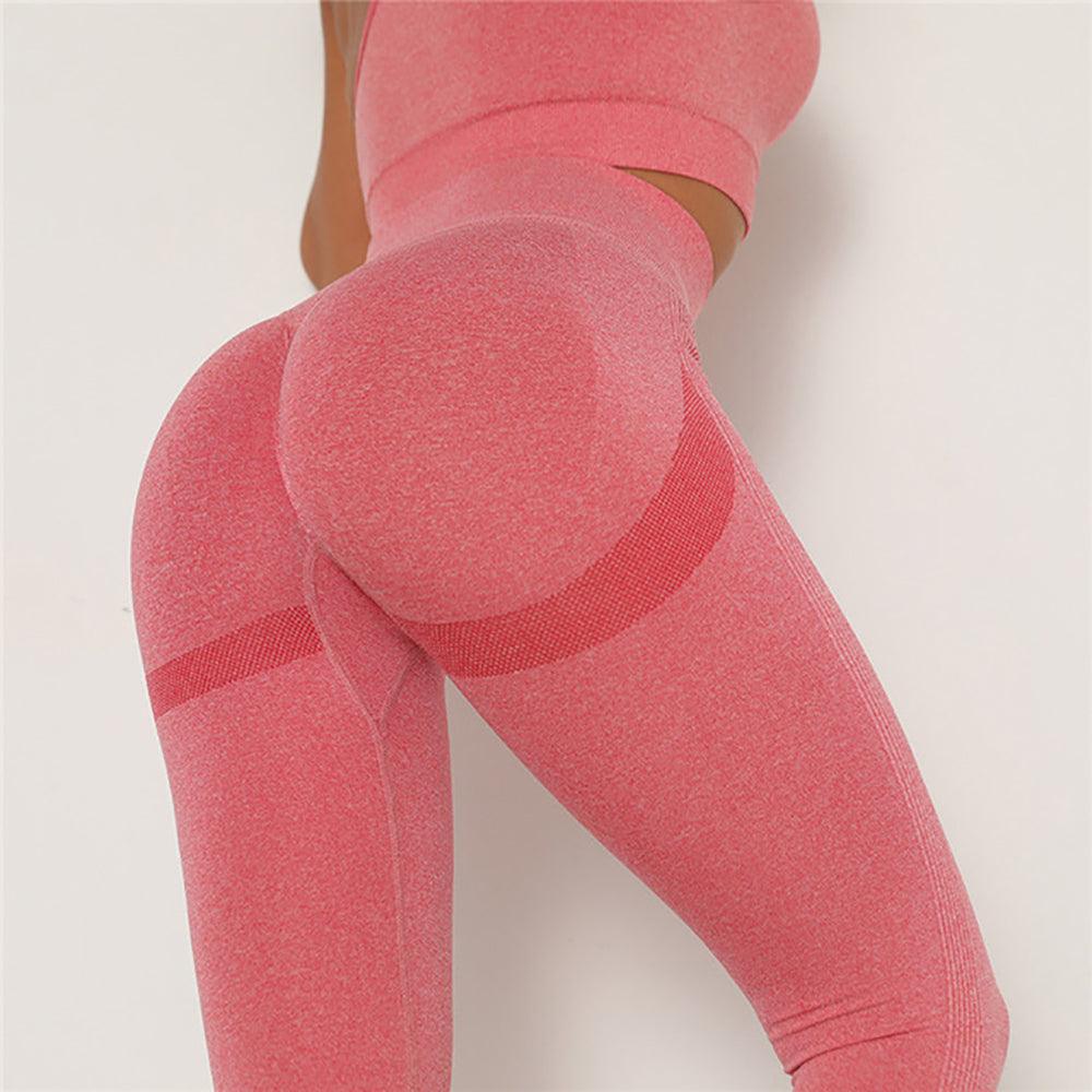 High Waisted Seamless Leggings for Women - Tummy Control Yoga Pants