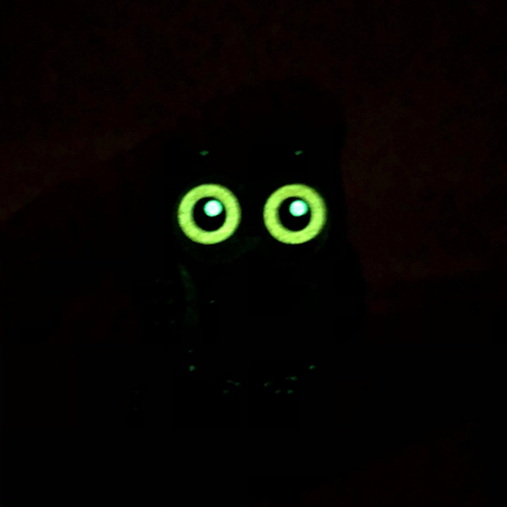 Owl Enamel Pin – A Tribute to Hoarding, Healing & Hilarious Trauma