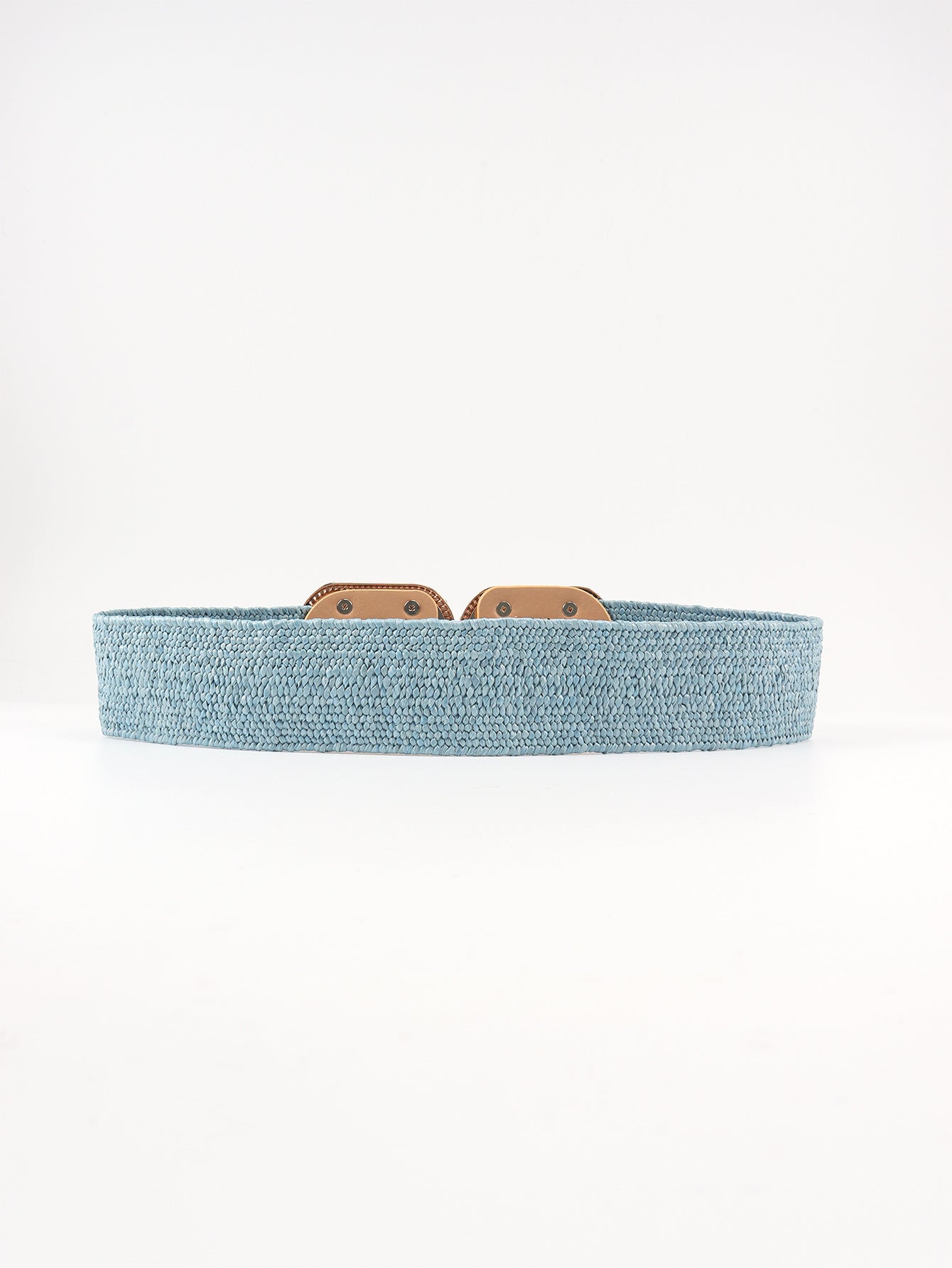 Wide Braid Stretch Belt with Statement Buckle in Sage Green