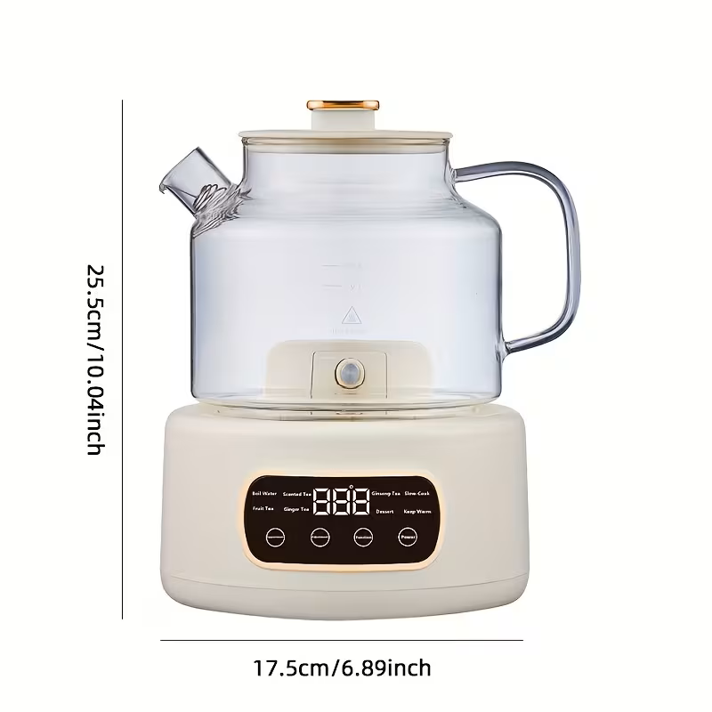 Multifunctional 110V Electric Kettle and Health Tea Stew Pot