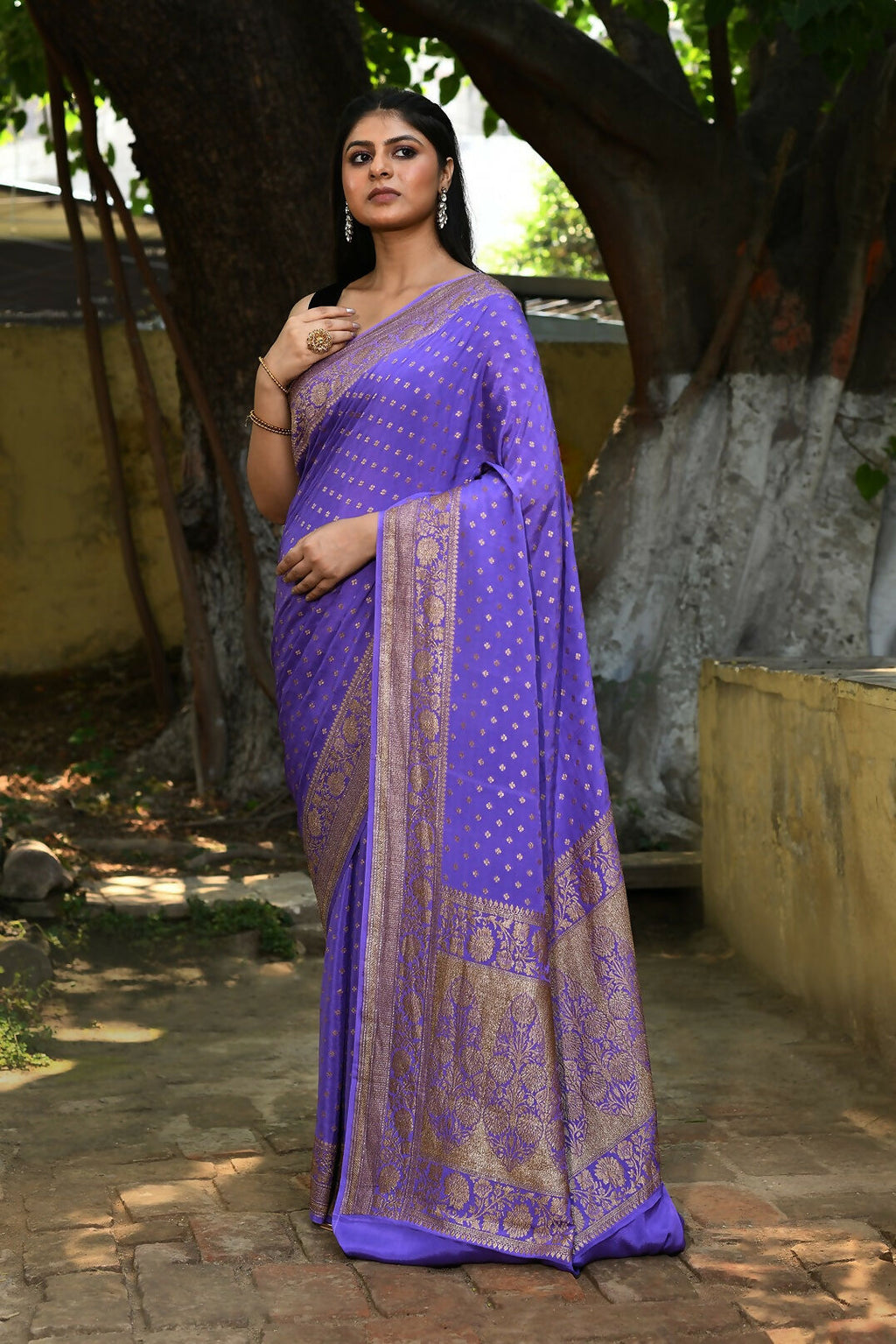 Lavender Crepe Chiffon Banarasi Silk Saree - Pure Handloom