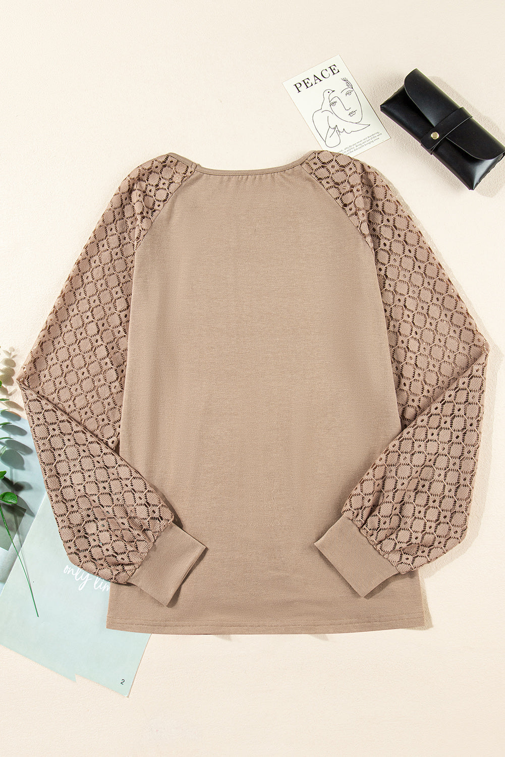 Lace Patchwork Raglan Sleeve Pleated Top
