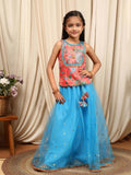 Little girl wearing a multi-color net lehenga choli set for festive occasions