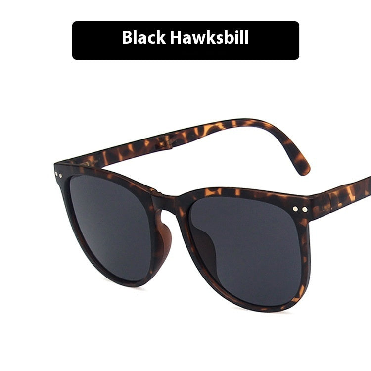 Foldable Sunglasses with Case Lightweight Portable Travel Eyewear