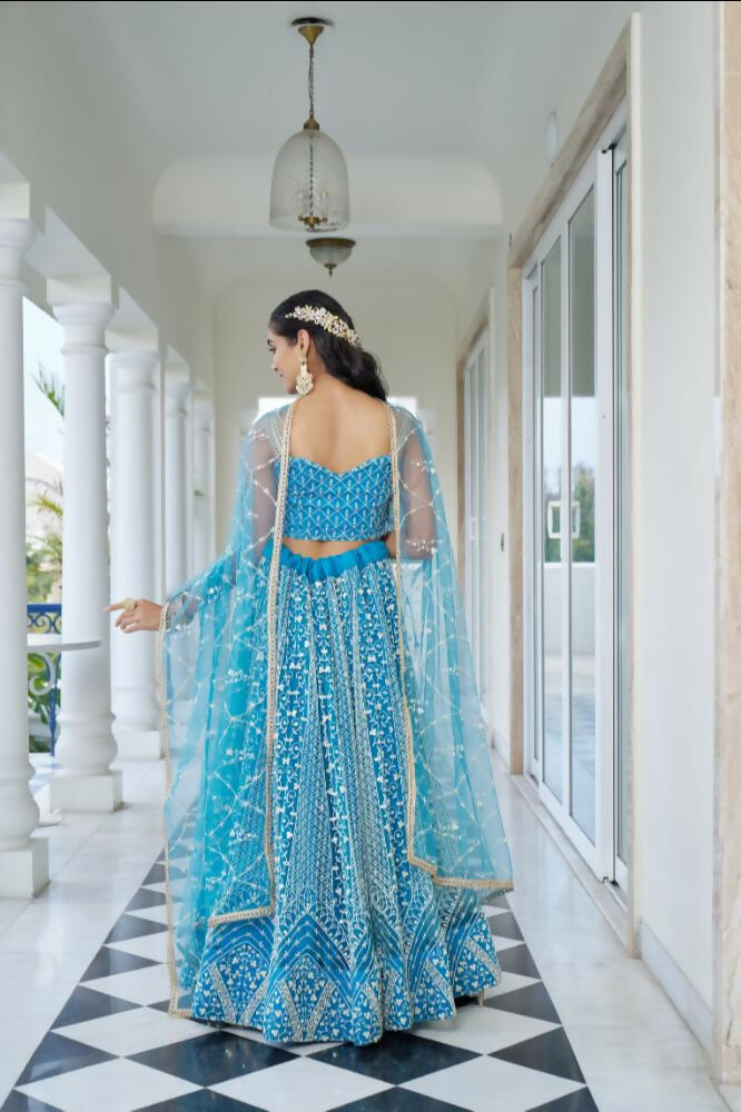 Sky Blue Butterfly Net Lehenga with Cotton Thread and Sequence Work