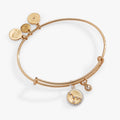 Cancer zodiac charm bangle with crystal constellation and water element charm