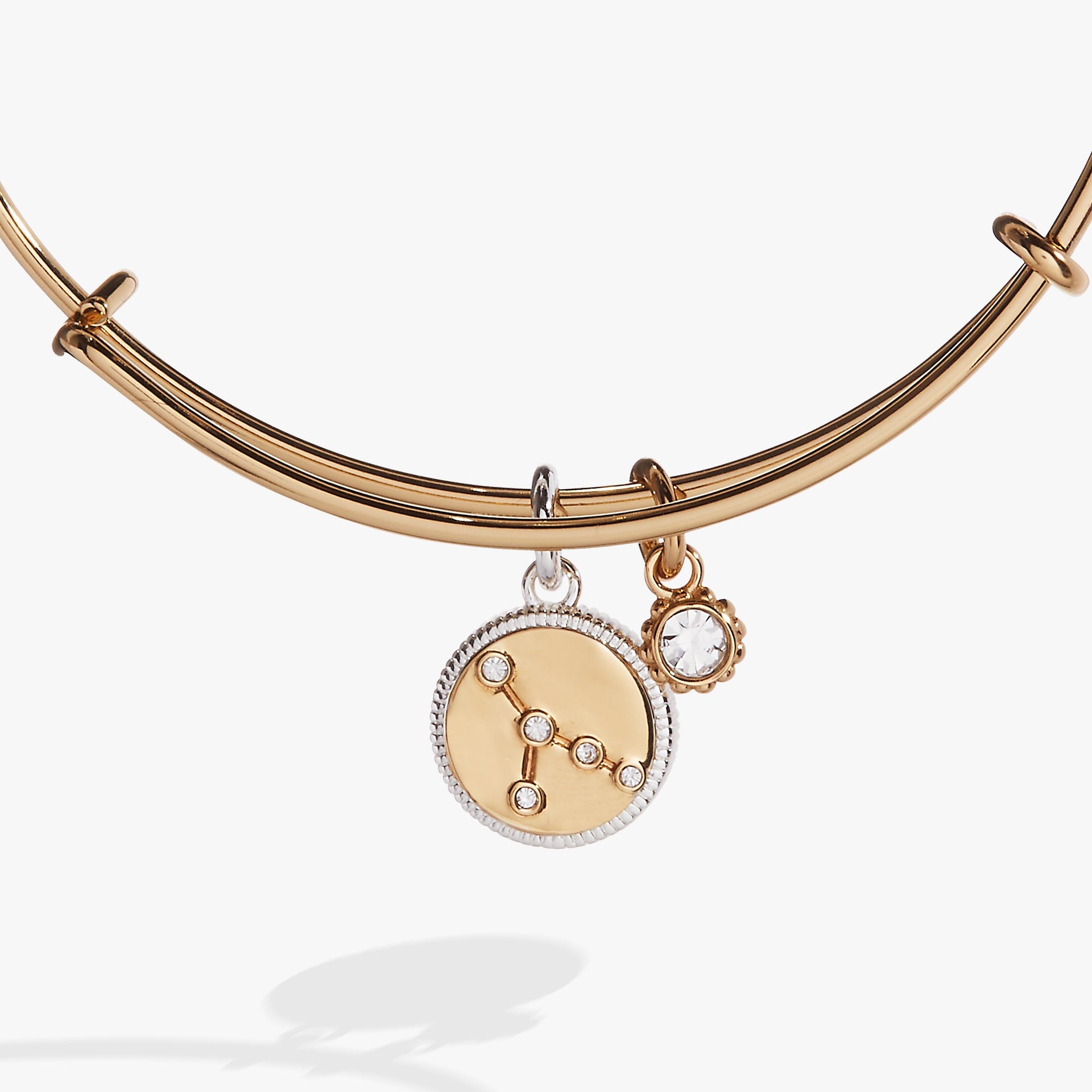 Cancer Zodiac Charm Bangle with Water Element Detail