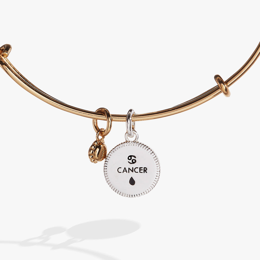 Cancer Zodiac Charm Bangle with Water Element Detail