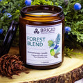 Forest Blend Soy Wax Candle - Juniper, Pine, Balsam, Cedar, and Lime