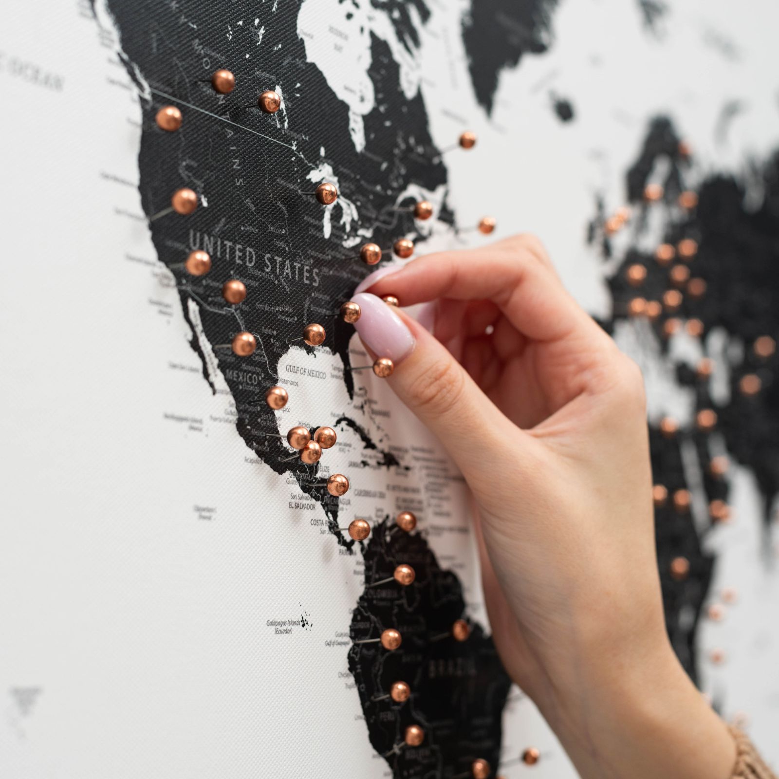 Onyx World Map Canvas Wall Art, Minimalist Decor