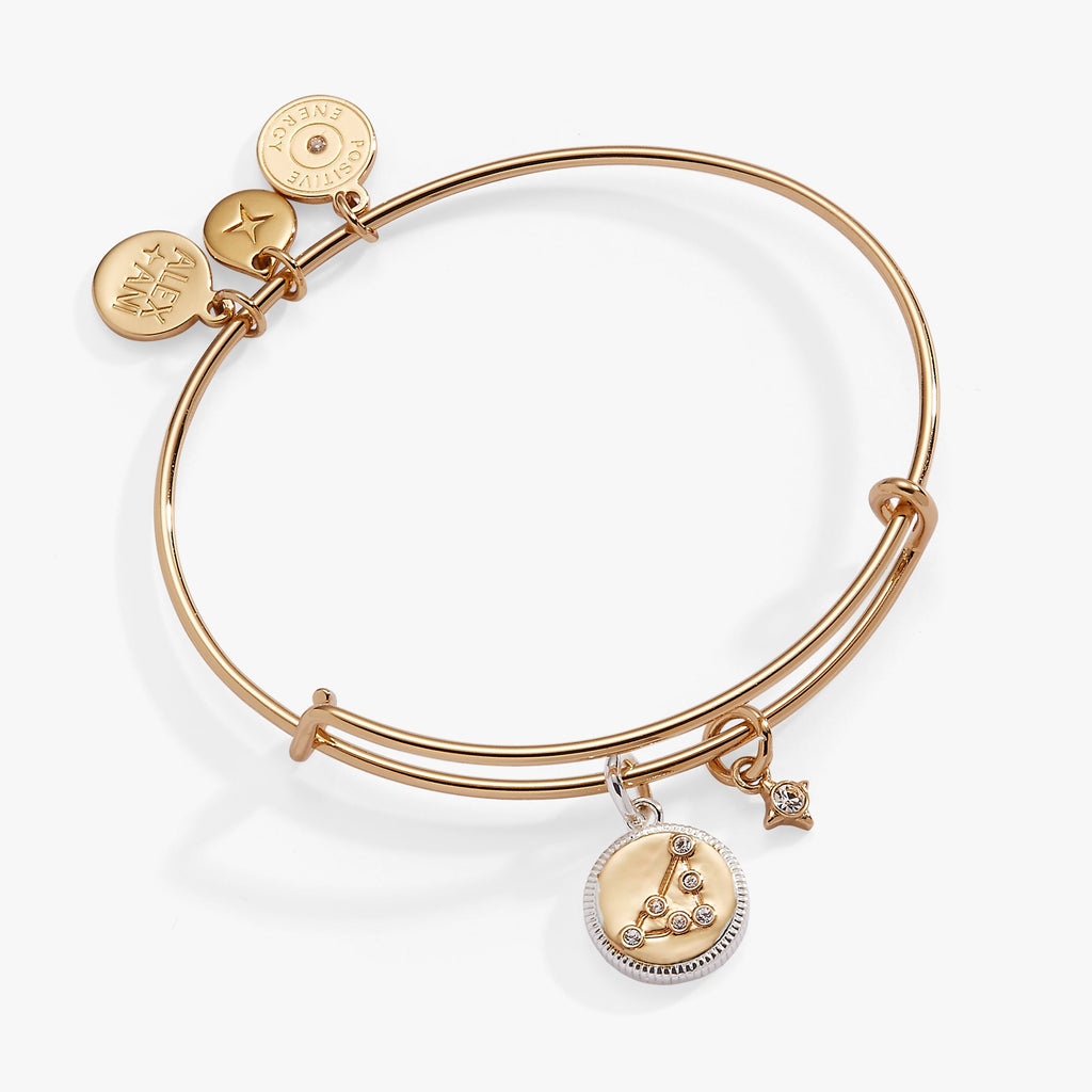 Two-tone Capricorn zodiac charm bangle featuring a crystal-accented constellation
