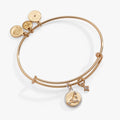 Two-tone Capricorn zodiac charm bangle featuring a crystal-accented constellation
