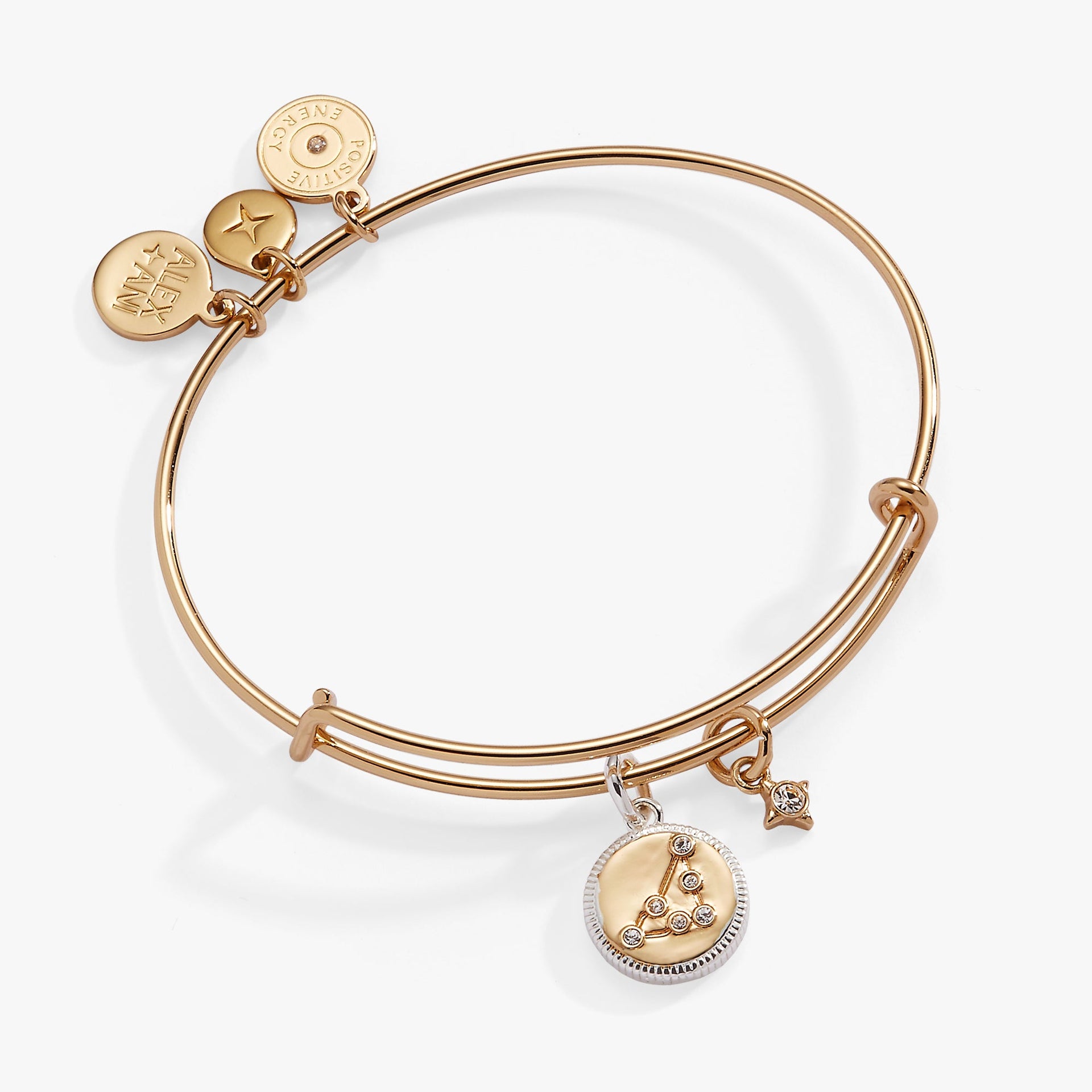 Two-tone Capricorn zodiac charm bangle featuring a crystal-accented constellation
