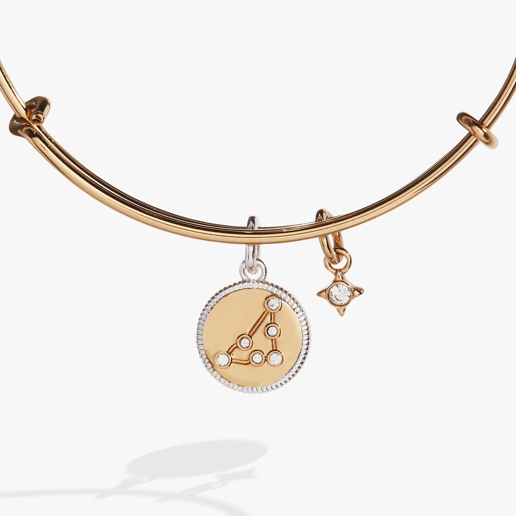 Capricorn Zodiac Charm Bangle with Crystal Constellation