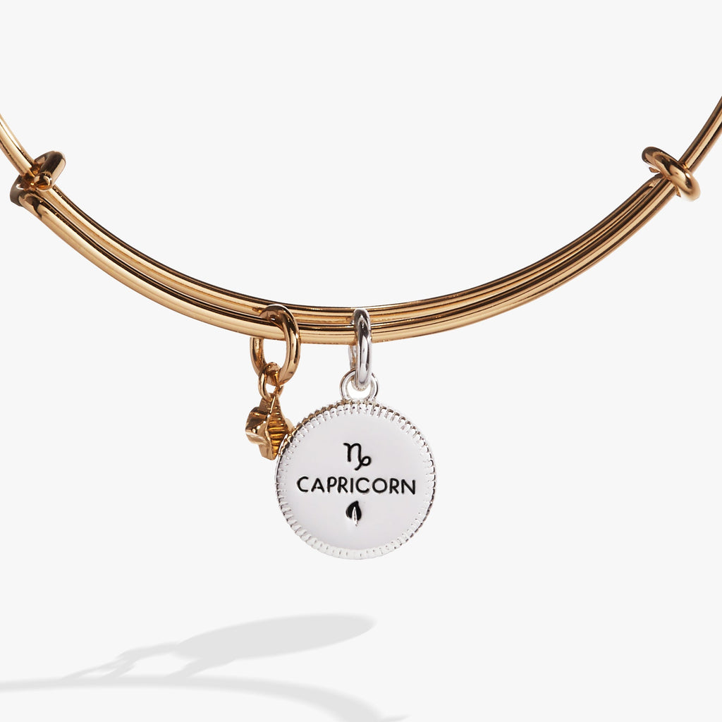 Capricorn Zodiac Charm Bangle with Crystal Constellation