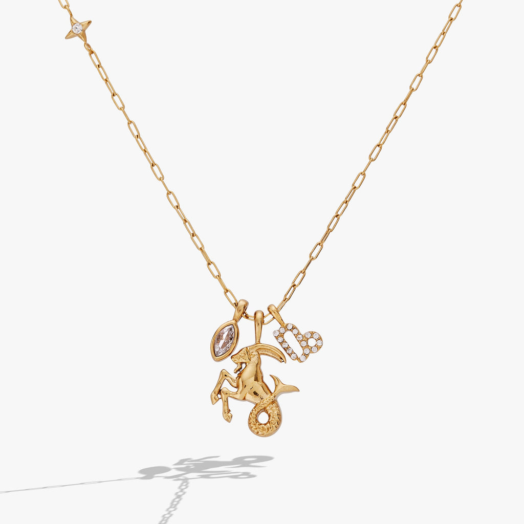 Elegant gold-plated Capricorn zodiac charm cluster necklace with crystal pavé details.