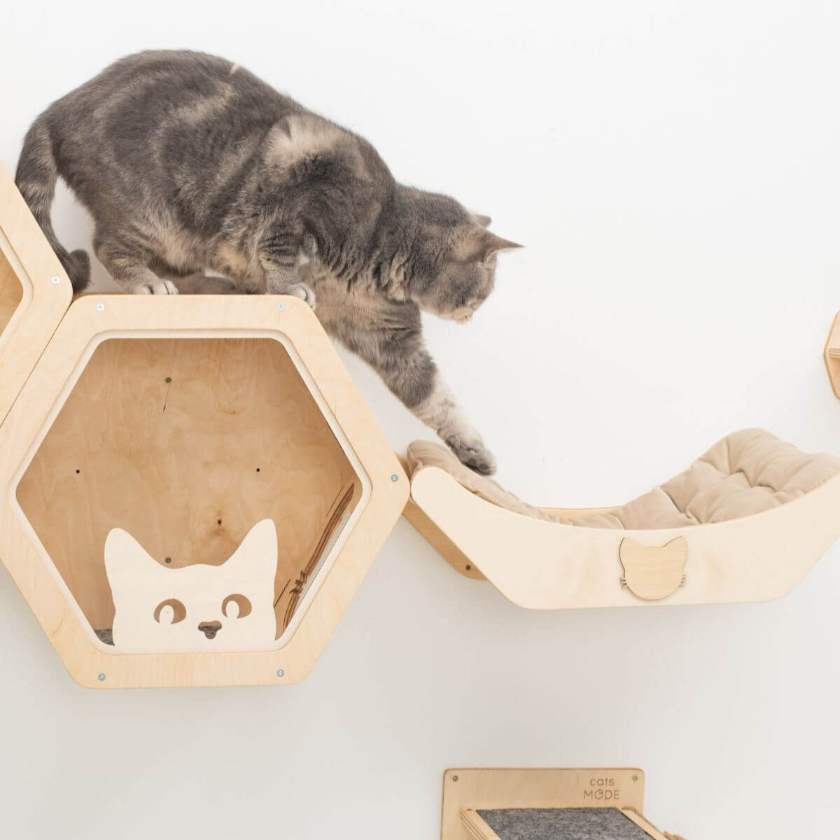 Wall-Mounted Cat Bed Elevated Shelving for Indoor Climbing Play