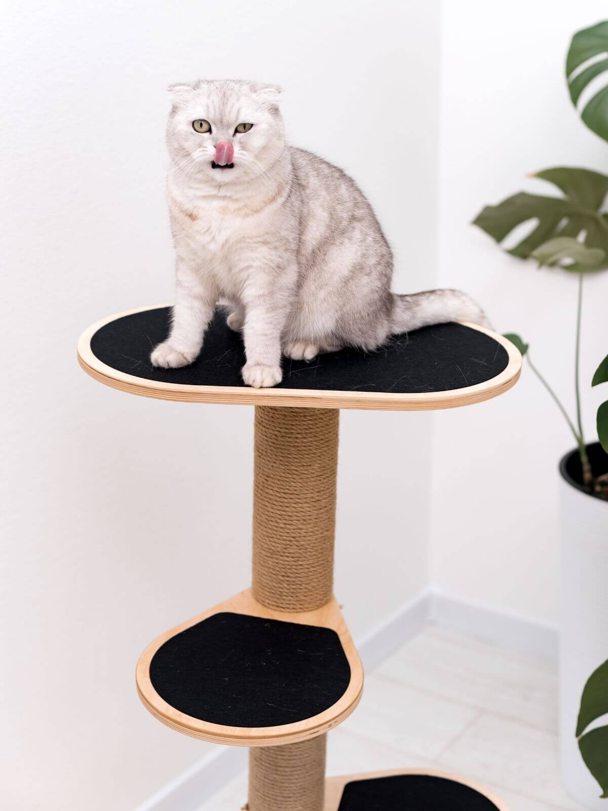 Cat Climbing Tower with Sisal Scratching Post and Lounging Stairs