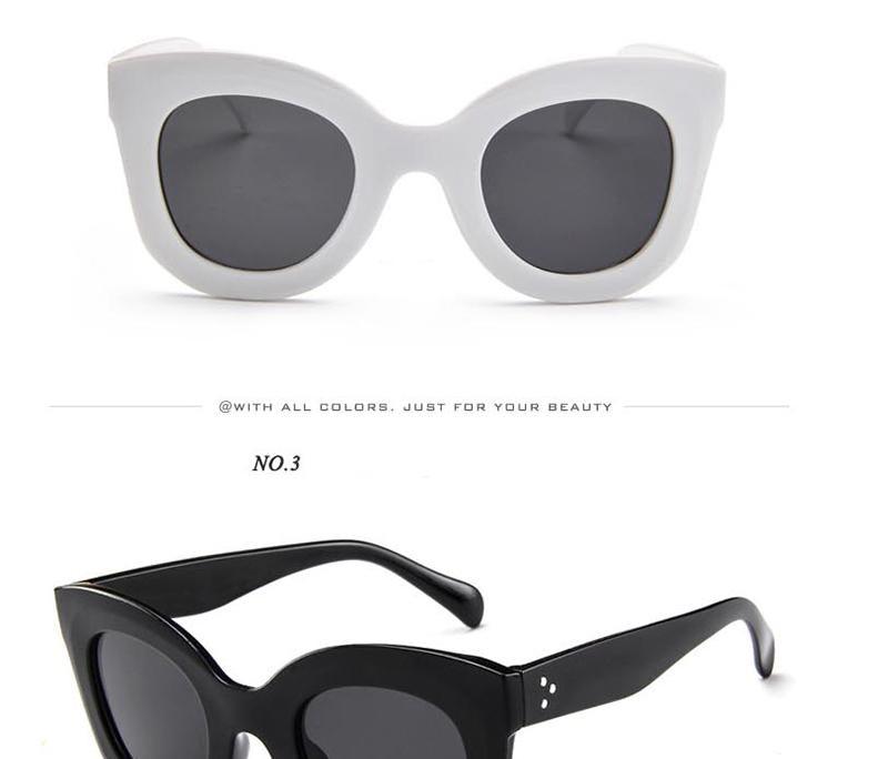 Oversized Vintage Cat Eye Polarized Sunglasses for Women