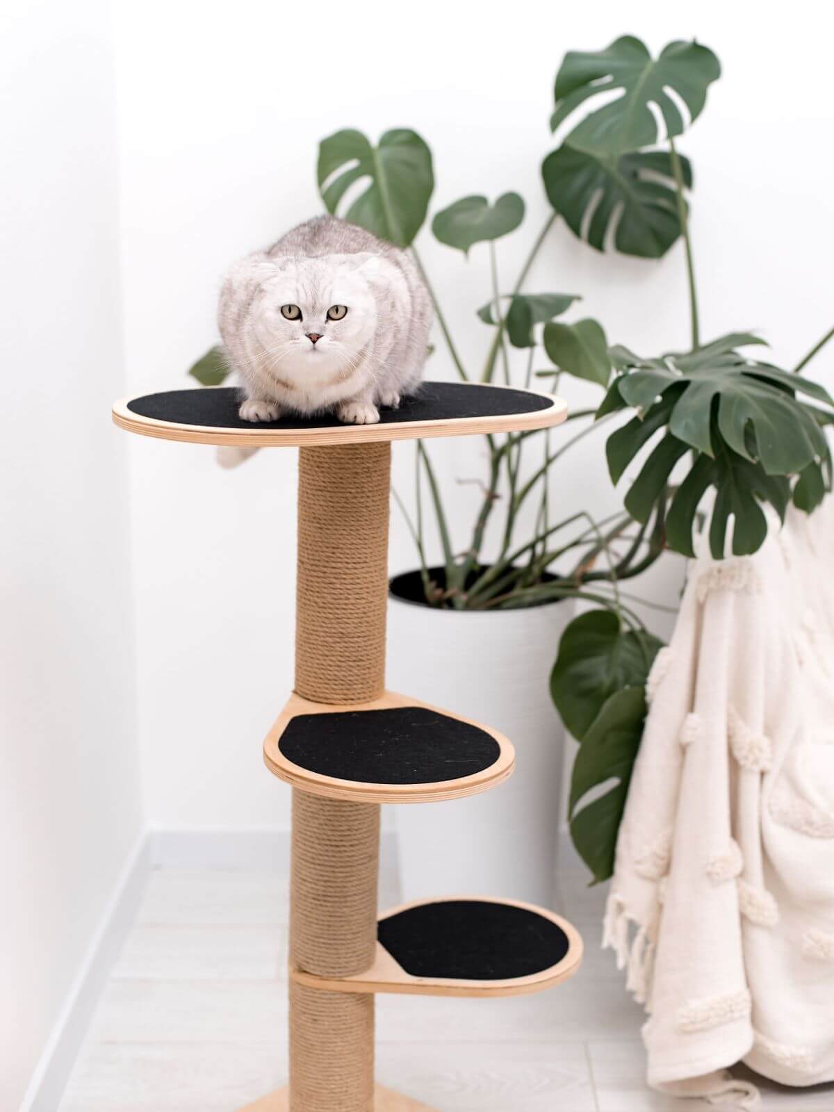 Cat Climbing Tower with Sisal Scratching Post and Lounging Stairs