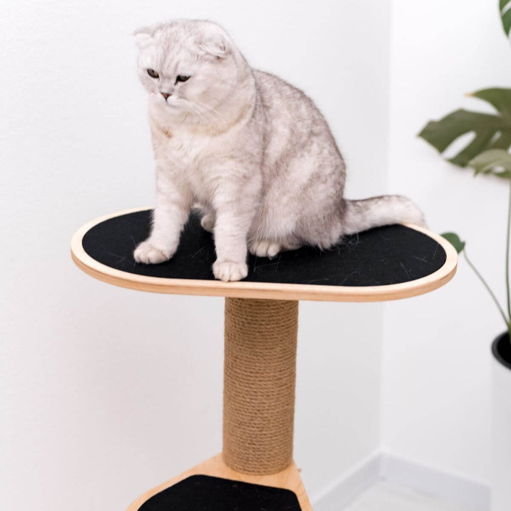 Compact Wooden Cat Tower with Natural Sisal Scratching Twine