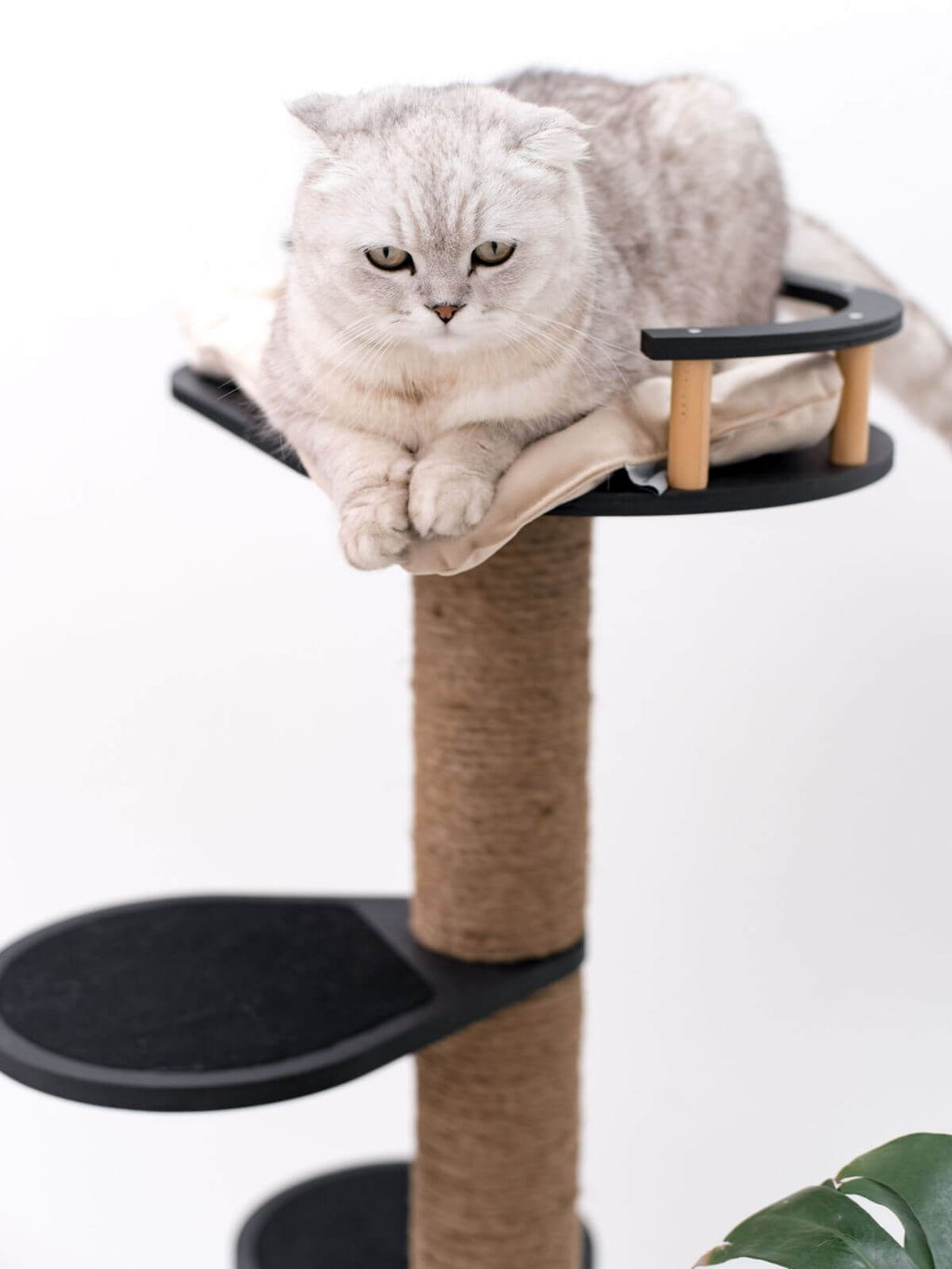 Compact Cat Scratching Tree for Small Spaces and Apartments