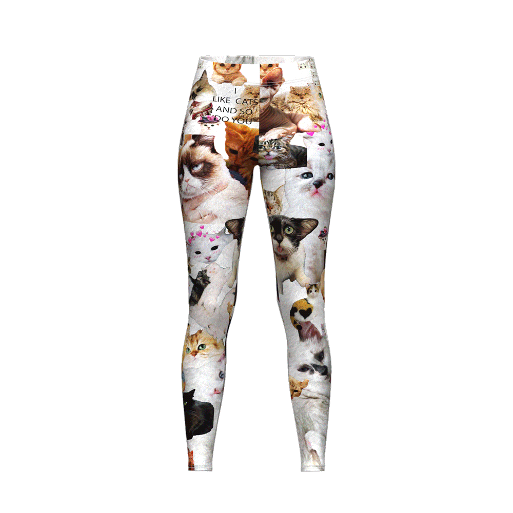I Like Cats and So Do You High-Waisted Printed Leggings