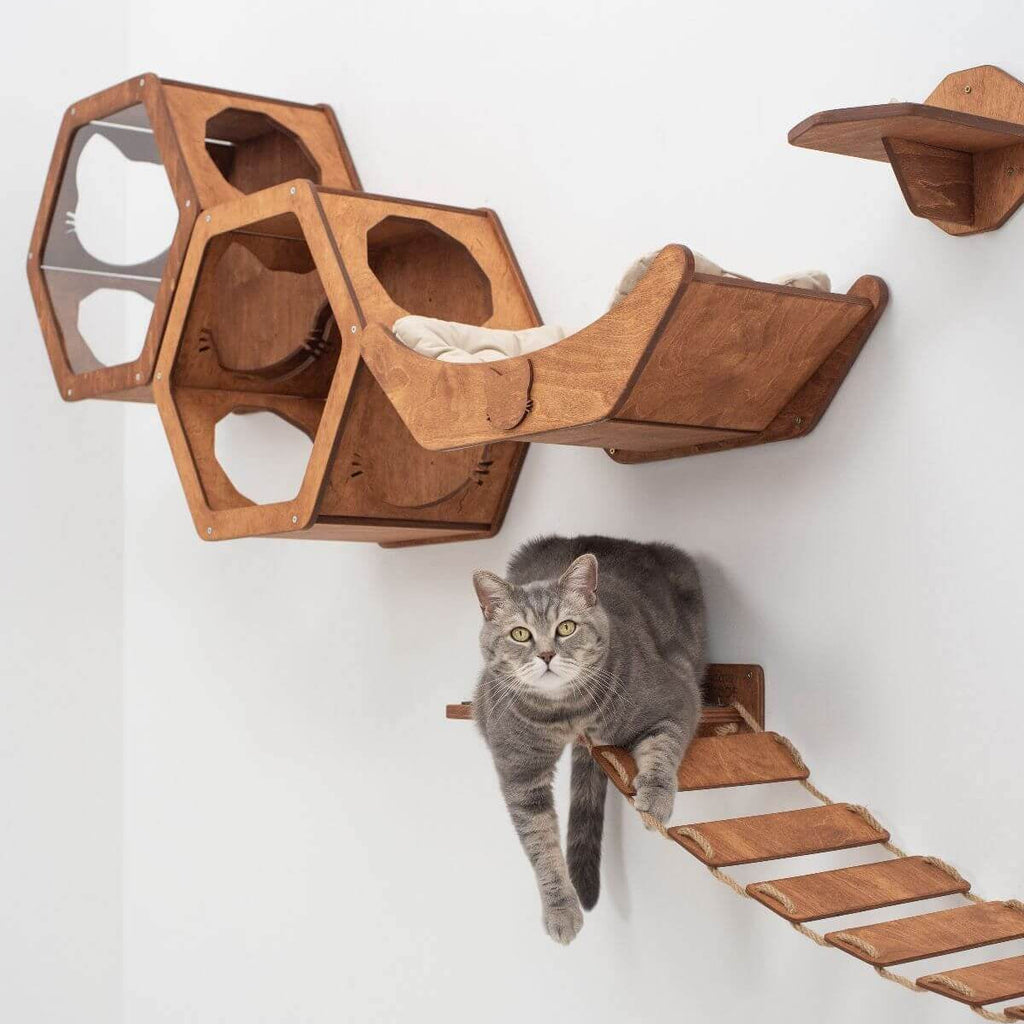 Floating Cat Shelf Perch - Oak Wall-Mounted Bed
