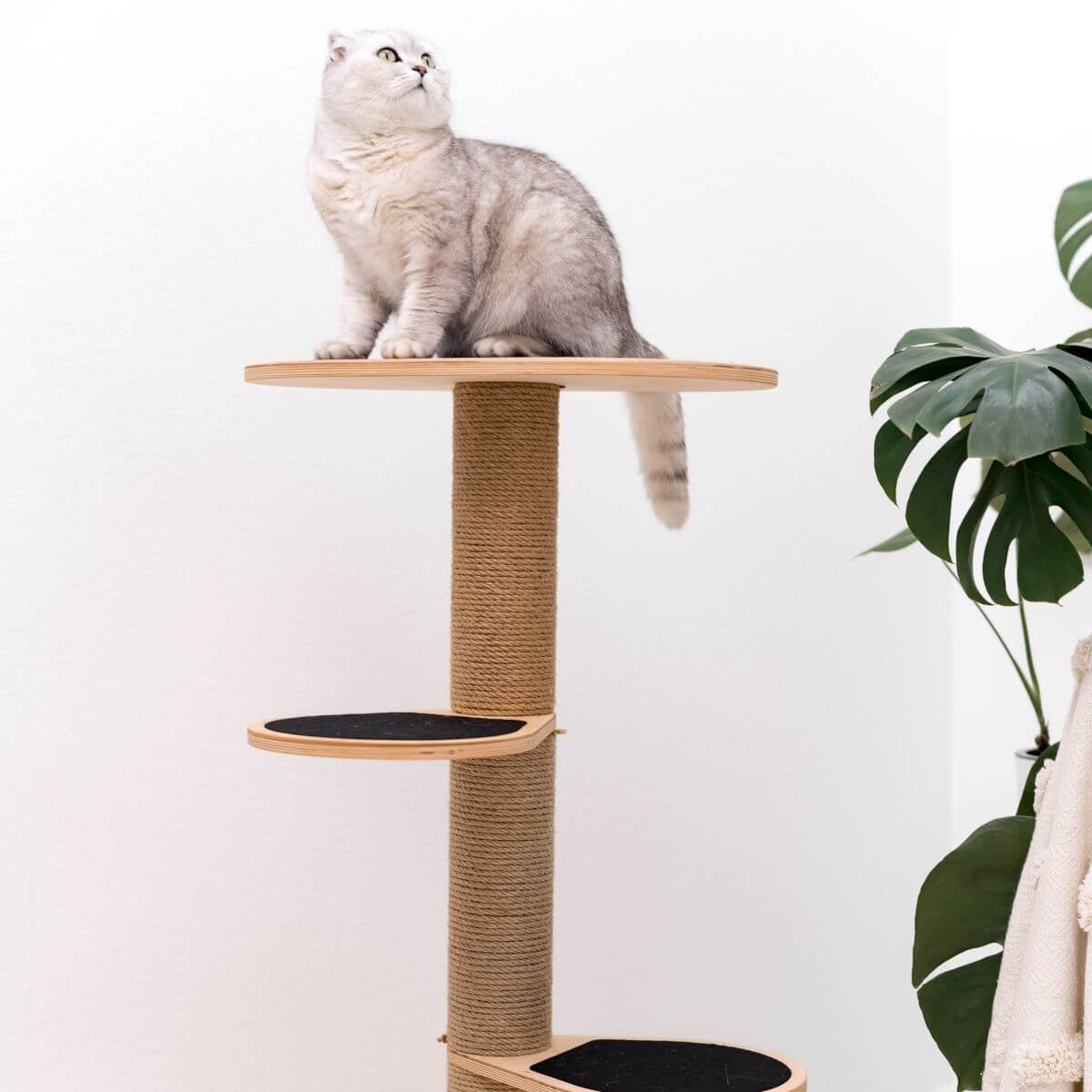 Compact Wooden Cat Tower with Natural Sisal Scratching Twine