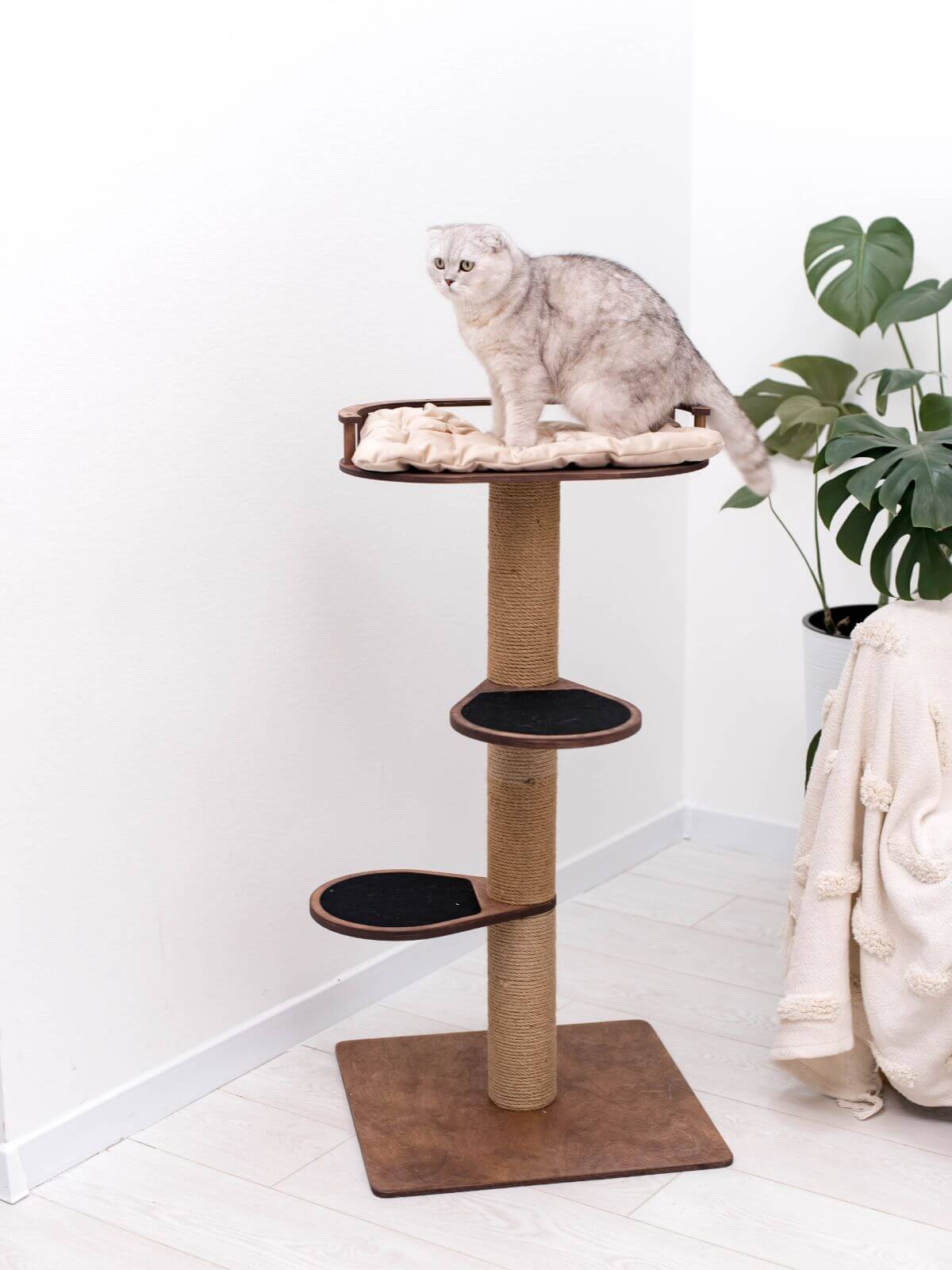 Compact Cat Scratching Tree for Small Spaces and Apartments