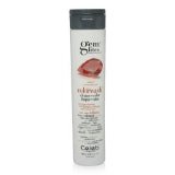 Bottle of Gem Lites Amber Copper Brown Colorwash