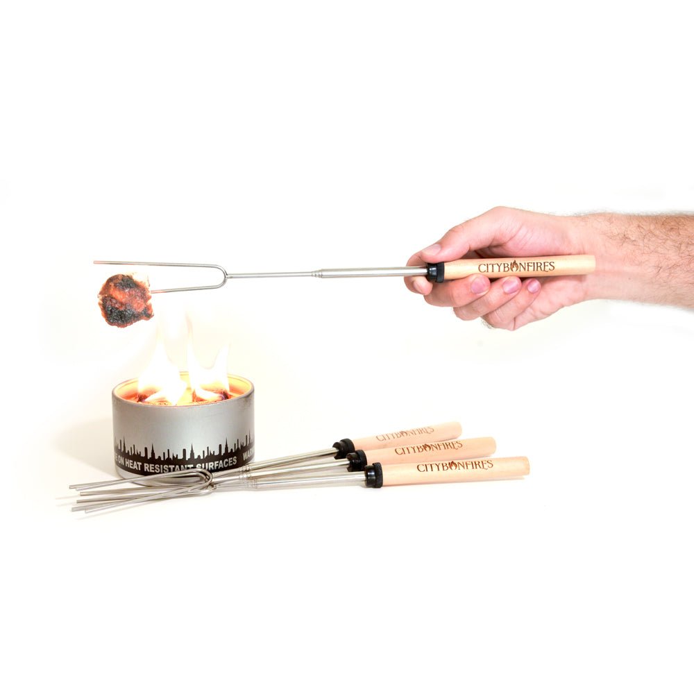 Telescoping S'mores Roasting Sticks - 4 Pack, Stainless Steel