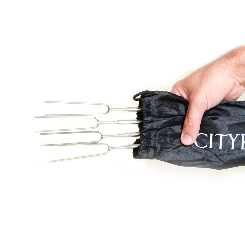 Telescoping S'mores Roasting Sticks - 4 Pack, Stainless Steel