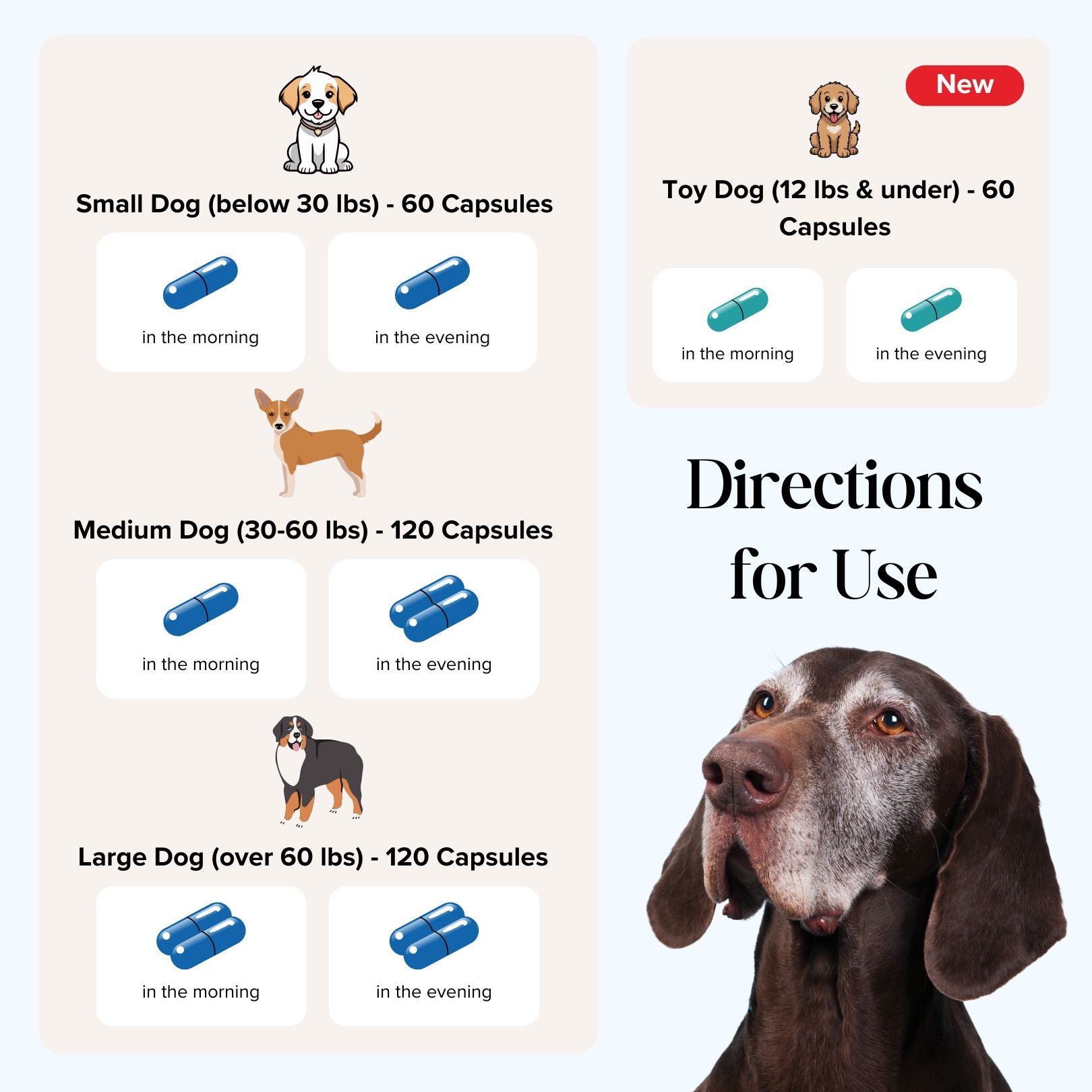 CogniCaps - Canine Cognitive Function Supplement for Dogs